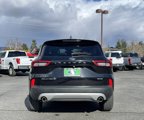 Used 2024 Ford Escape Platinum image 4