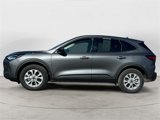 Used 2025 Ford Escape Active w/ Cold Weather Package image 2