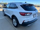 Used 2022 Ford Escape SE w/ Convenience Package image 6