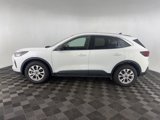 Used 2023 Ford Escape Active w/ Tech Pack #1 image 4