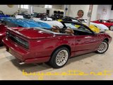 Used 1991 Pontiac Firebird Trans Am image 4