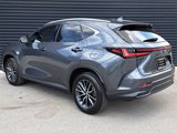 Used 2024 Lexus NX 300h AWD w/ Luxury Package image 3