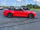 Certified 2022 Ford Mustang Premium image 3