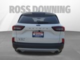 Used 2024 Ford Escape Active image 5