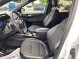 Certified 2023 Ford Escape ST-Line Select w/ Tech Pack #2 image 4
