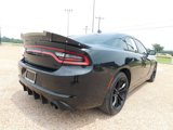 Used 2016 Dodge Charger R/T w/ Plus Group image 2