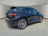 Used 2024 Ford Escape ST-Line w/ Tech Pack #1 image 3