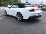 Used 2024 Ford Mustang Premium image 4