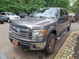 Used 2013 Ford F150 XLT w/ Luxury Equipment Group image 2