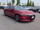 Used 2020 Honda Accord Touring image 2