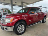 Used 2014 Ford F150 XLT w/ Equipment Group 302A Luxury image 2