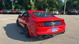 Certified 2021 Ford Mustang Coupe w/ Equipment Group 101A image 5