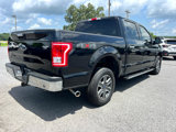 Used 2017 Ford F150 XLT w/ Equipment Group 301A Mid image 6