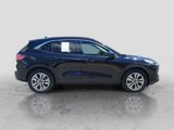 Used 2022 Ford Escape SEL image 4