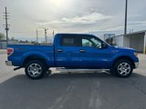 Used 2013 Ford F150 XLT image 4