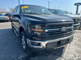 New 2024 Ford F150 XLT w/ Equipment Group 302A MID image 2