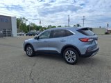 Used 2022 Ford Escape SEL image 6