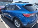 Used 2020 Ford Escape SE image 3