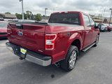 Used 2019 Ford F150 XLT w/ Equipment Group 302A Luxury image 3