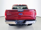 Used 2015 Ford F150 XLT w/ Equipment Group 302A Luxury image 6