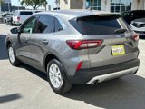 Used 2023 Ford Escape Active w/ Tech Pack #1 image 4