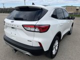 Used 2022 Ford Escape SE w/ Cold Weather Package image 4