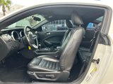 Used 2009 Ford Mustang GT image 5