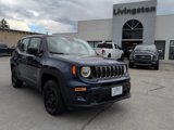 Used 2020 Jeep Renegade Sport image 2