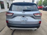 Used 2022 Ford Escape SEL image 6