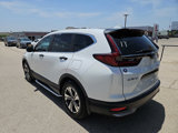 Used 2020 Honda CR-V LX image 3
