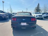 Used 2018 Ford Mustang Premium image 5