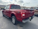 Used 2019 Ford F150 XLT w/ Equipment Group 302A Luxury image 5