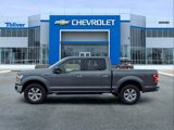 Used 2019 Ford F150 XLT w/ Equipment Group 302A Luxury image 4