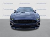 Used 2019 Ford Mustang Coupe image 2