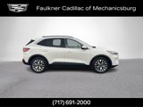 Used 2020 Ford Escape Titanium image 3
