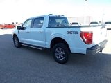 Used 2023 Ford F150 XLT image 5