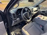 Used 2019 Ford F150 XLT image 5
