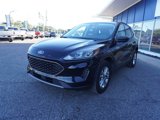 Used 2022 Ford Escape SE image 3