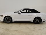 Used 2019 Ford Mustang Premium image 5