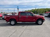 Used 2013 Ford F150 XLT w/ Luxury Equipment Group image 5