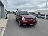 Used 2010 Cadillac Escalade Luxury image 6