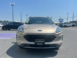Used 2020 Ford Escape Titanium image 2