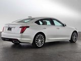 New 2025 Cadillac CT5 Premium Luxury image 5
