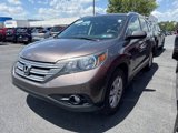 Used 2014 Honda CR-V EX-L image 4