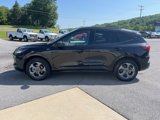 Used 2024 Ford Escape ST-Line image 4