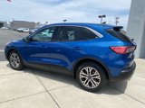Used 2022 Ford Escape SEL image 4