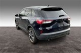 Used 2021 Ford Escape SE w/ SE Sport Appearance Package image 4