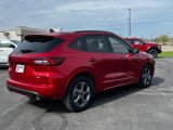 Used 2023 Ford Escape ST-Line w/ Equipment Group 301A image 3