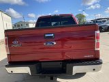 Used 2014 Ford F150 XLT w/ Equipment Group 302A Luxury image 5
