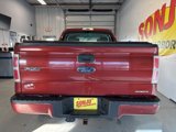Used 2014 Ford F150 STX w/ Equipment Group 201A Mid image 3